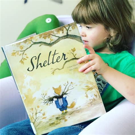 Book Review: Shelter, Celine Clair 